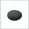 loa google home