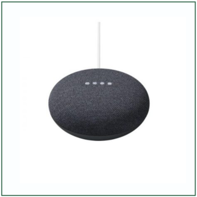 loa google home
