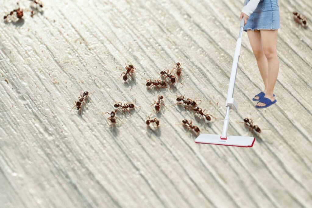 Cách lau nhà sạch bóng (1)