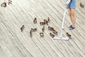 Cách lau nhà sạch bóng (1)