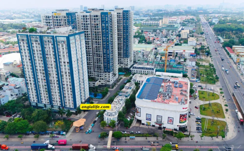 đầu tư căn hộ tphcm (2)