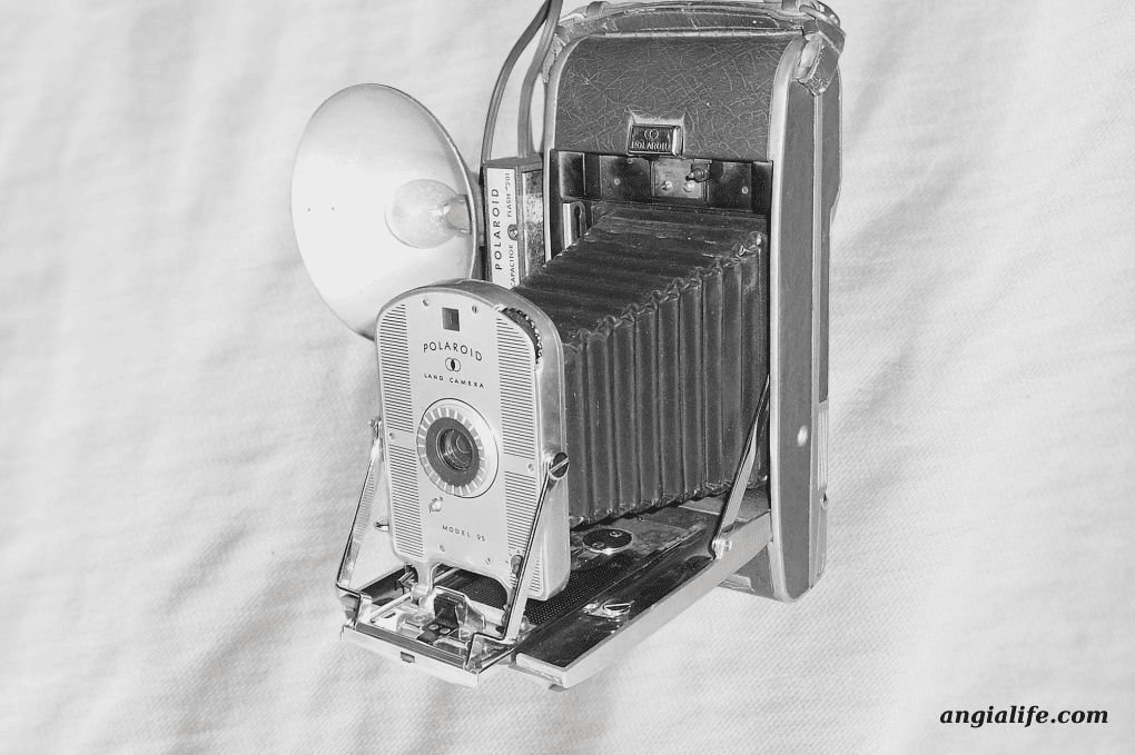 máy chụp ảnh lấy liền (2)