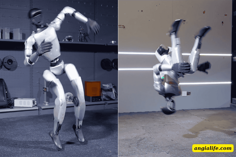 robot hình người (2)