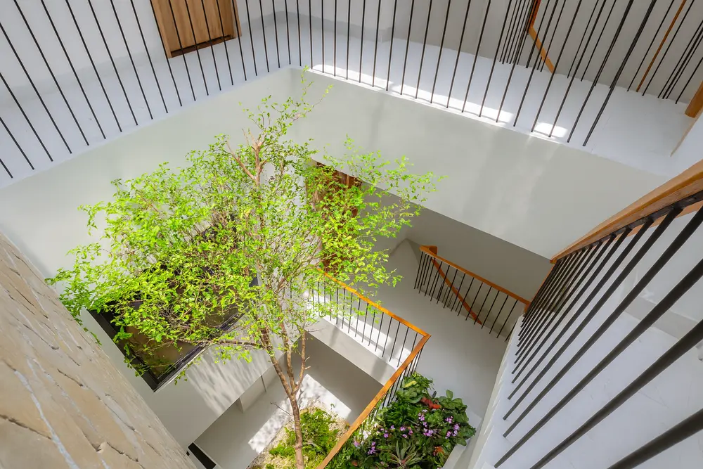 thiết kế nhà ống diện tích nhỏ (2)