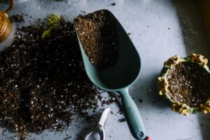 Hệ thống tưới cây tự động thông minh AngiaLife