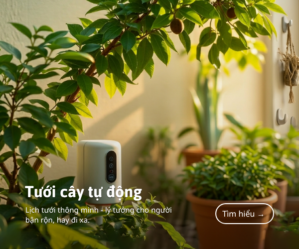 Hệ thống tưới cây tự động thông minh AngiaLife